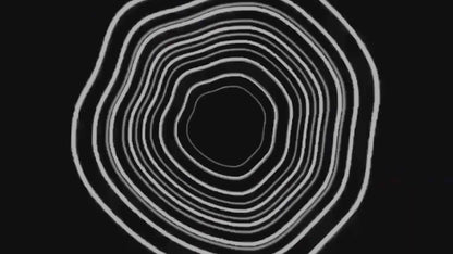 Animated Transitions